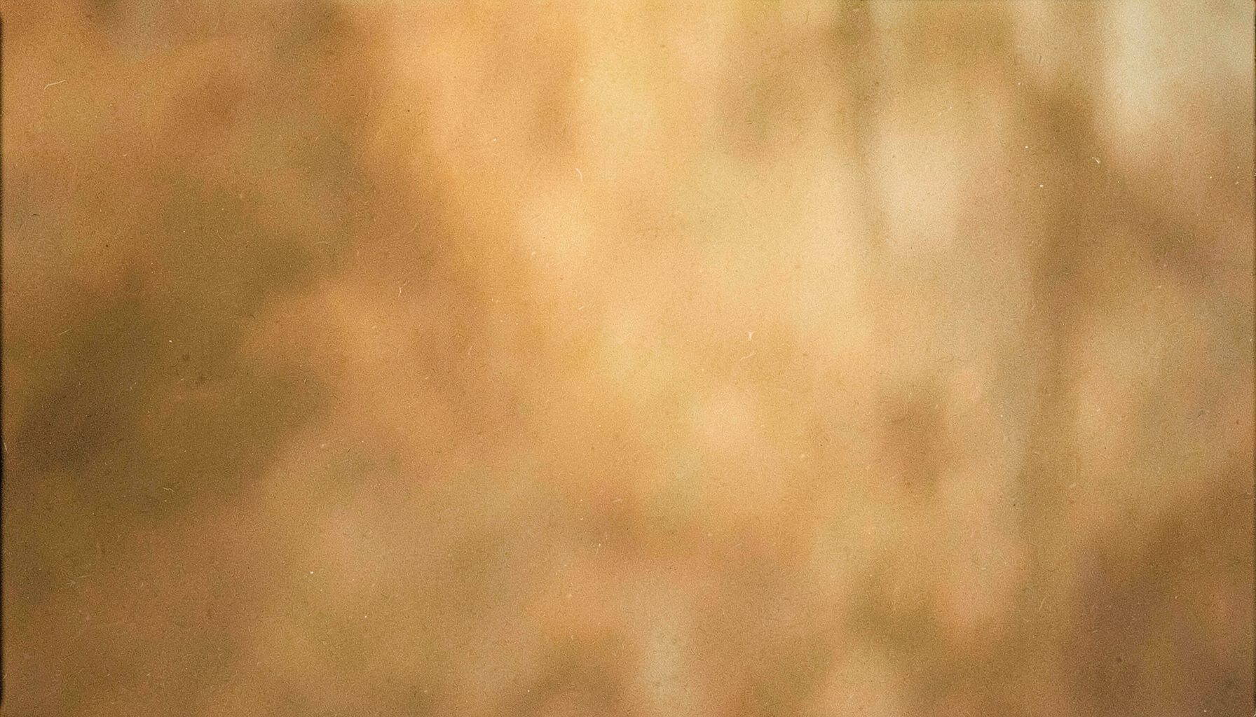 Soft, warm-toned film frame with gentle grain and golden light, evoking a nostalgic cinematic mood